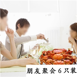 朋友同事聚会6只装