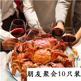 朋友同事聚会10只装