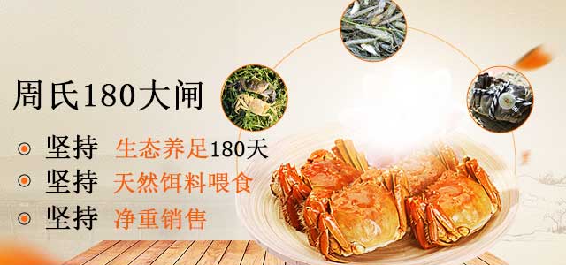 周氏180大闸蟹